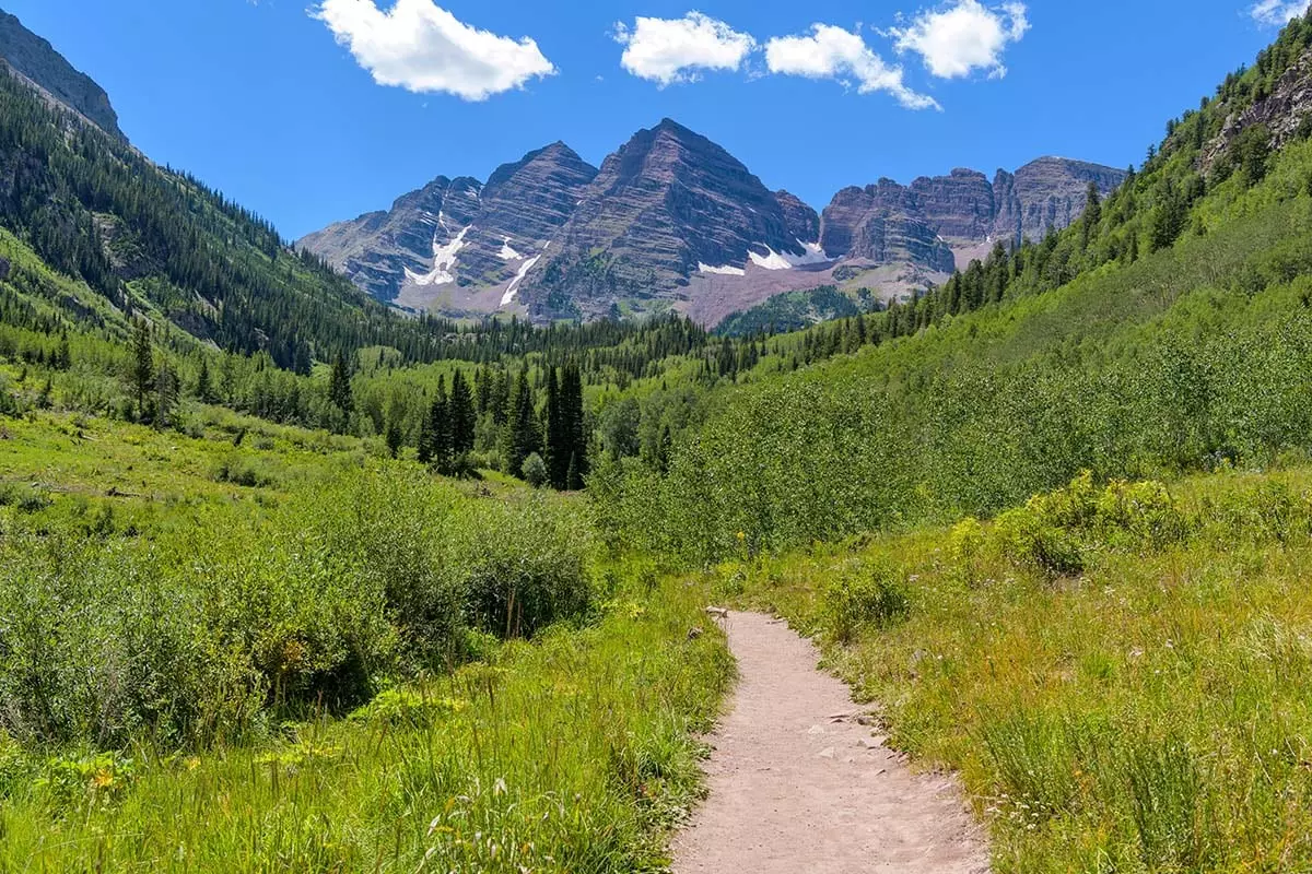 aspen in summer maroon bells