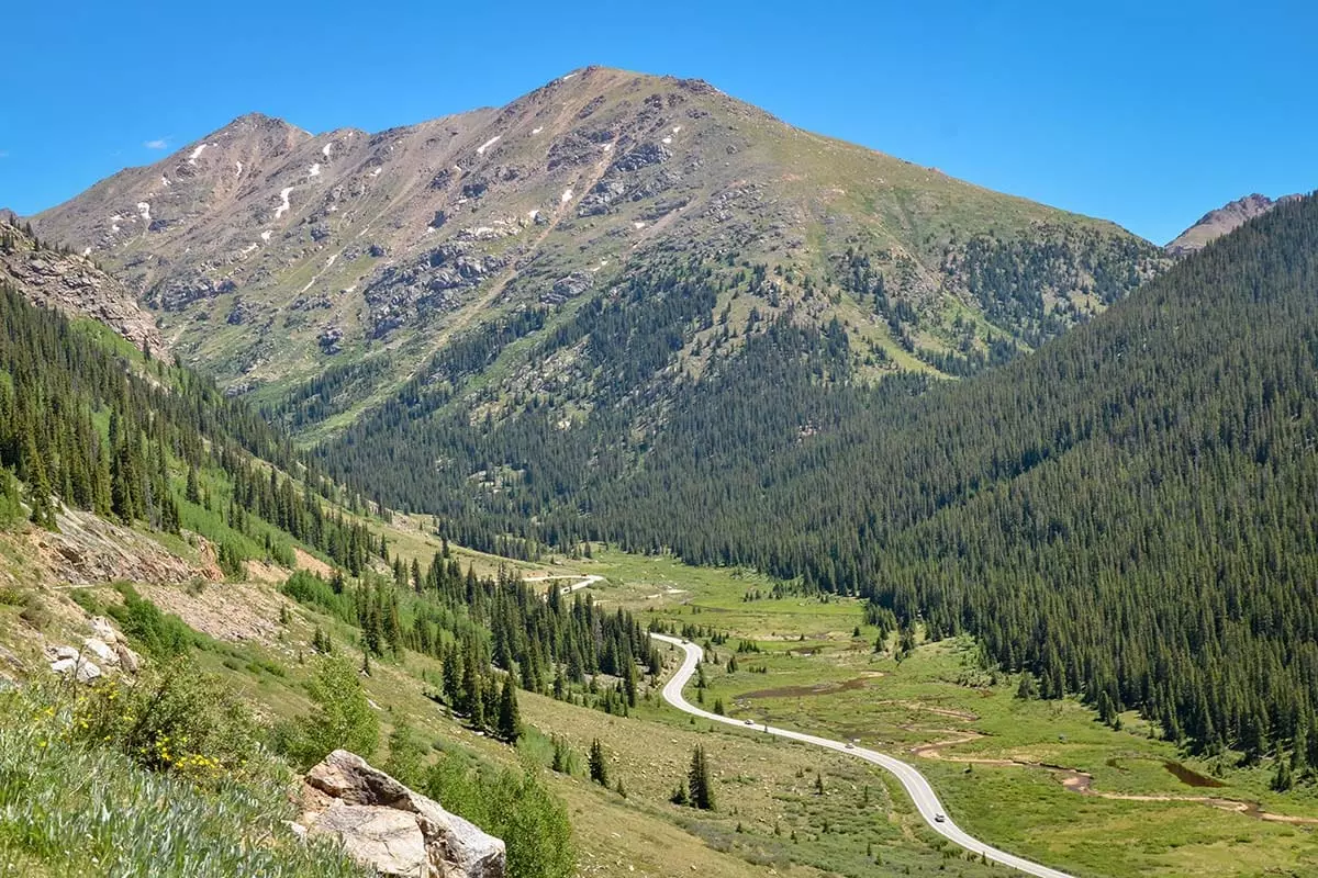 aspen in summer independence pass