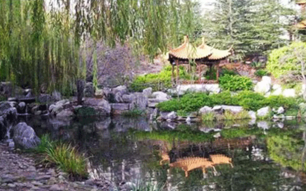 Traditional Chinese garden design style, garden rocks, plants, a small pond with goldfish