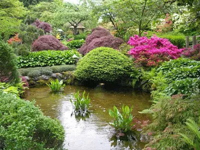 Garden waterfall and a small pond with goldfish, backyard ideas to Feng Shui homes, simple backyard landscaping, and garden design ideas