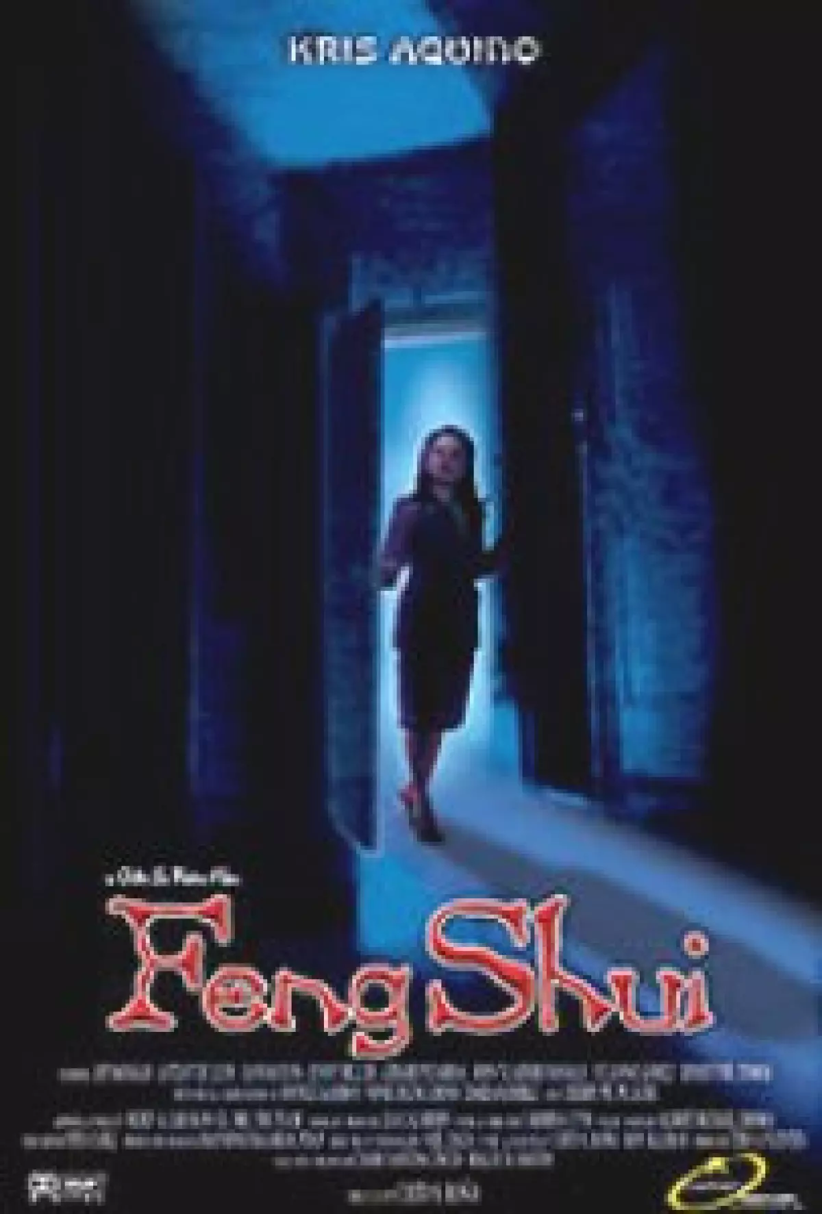 Feng Shui (2004 film)