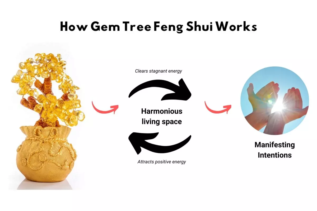 how gem tree feng shui works