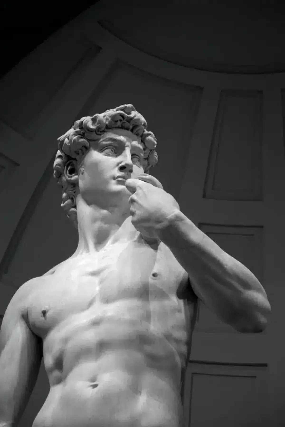 Michelangelo: David