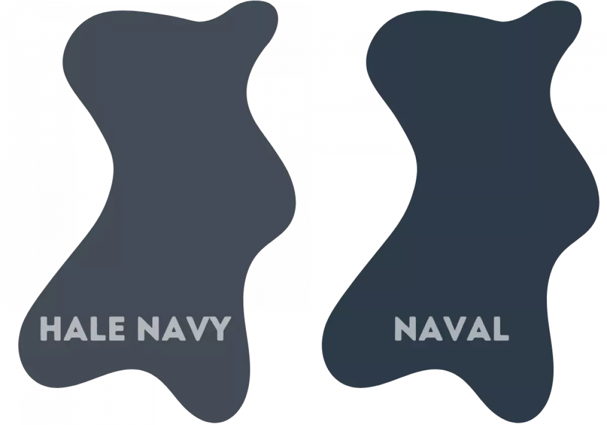 What Is the Difference Between BM Hale Navy And SW Naval?