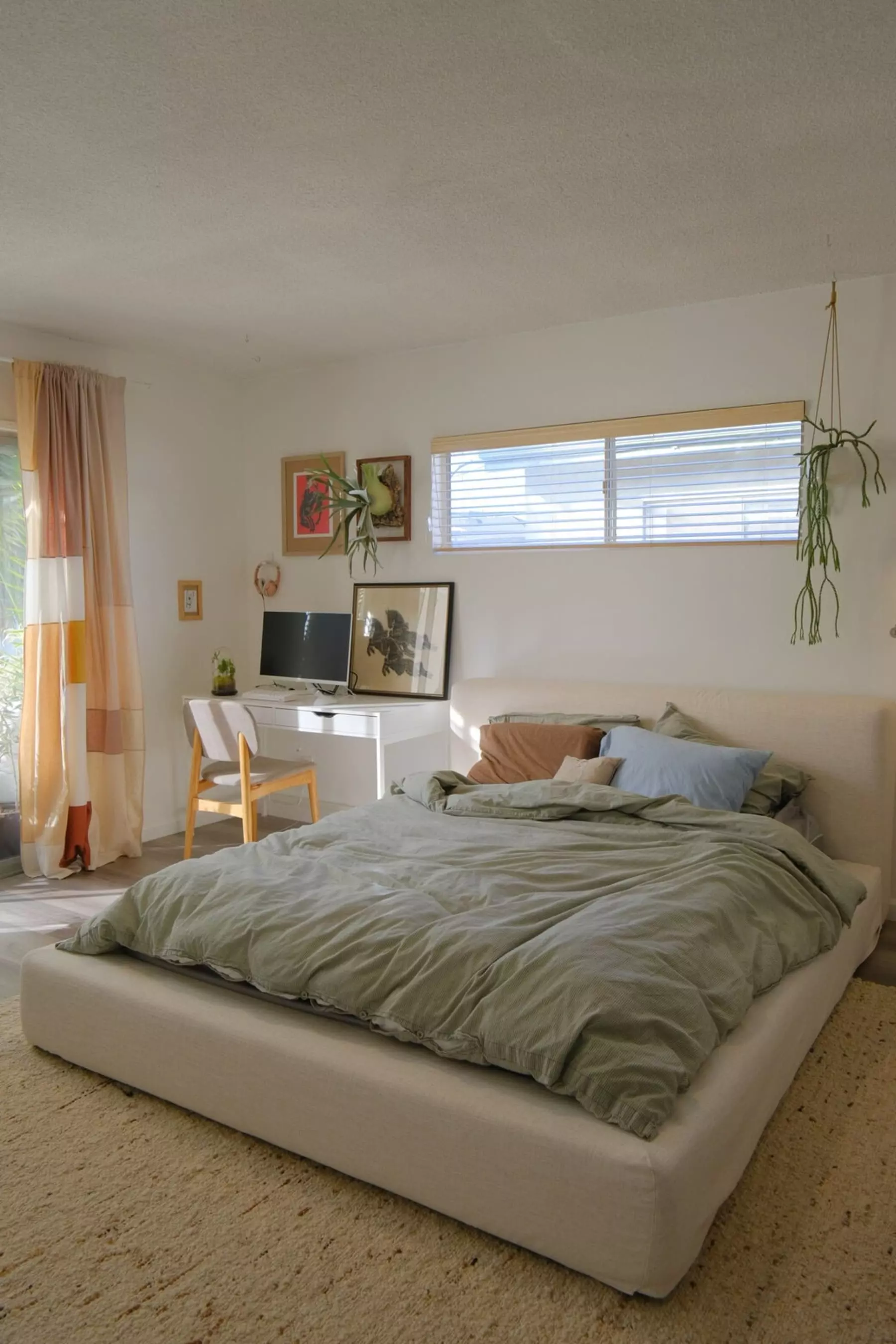 A platform bed placed atop a rug in the center of a bedroom.