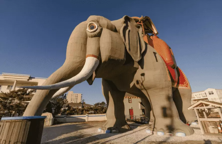 Elephant house interior