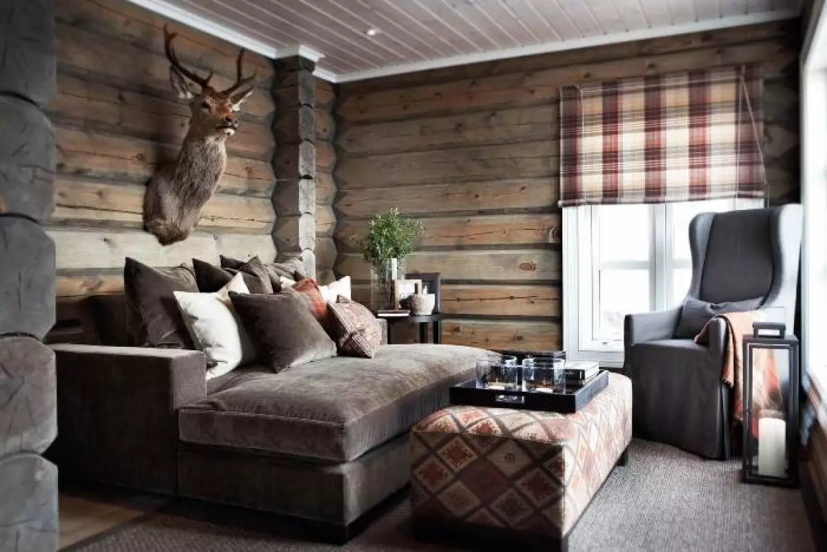 The Overview and Examples of Norwegian Interior Design. Northern forester