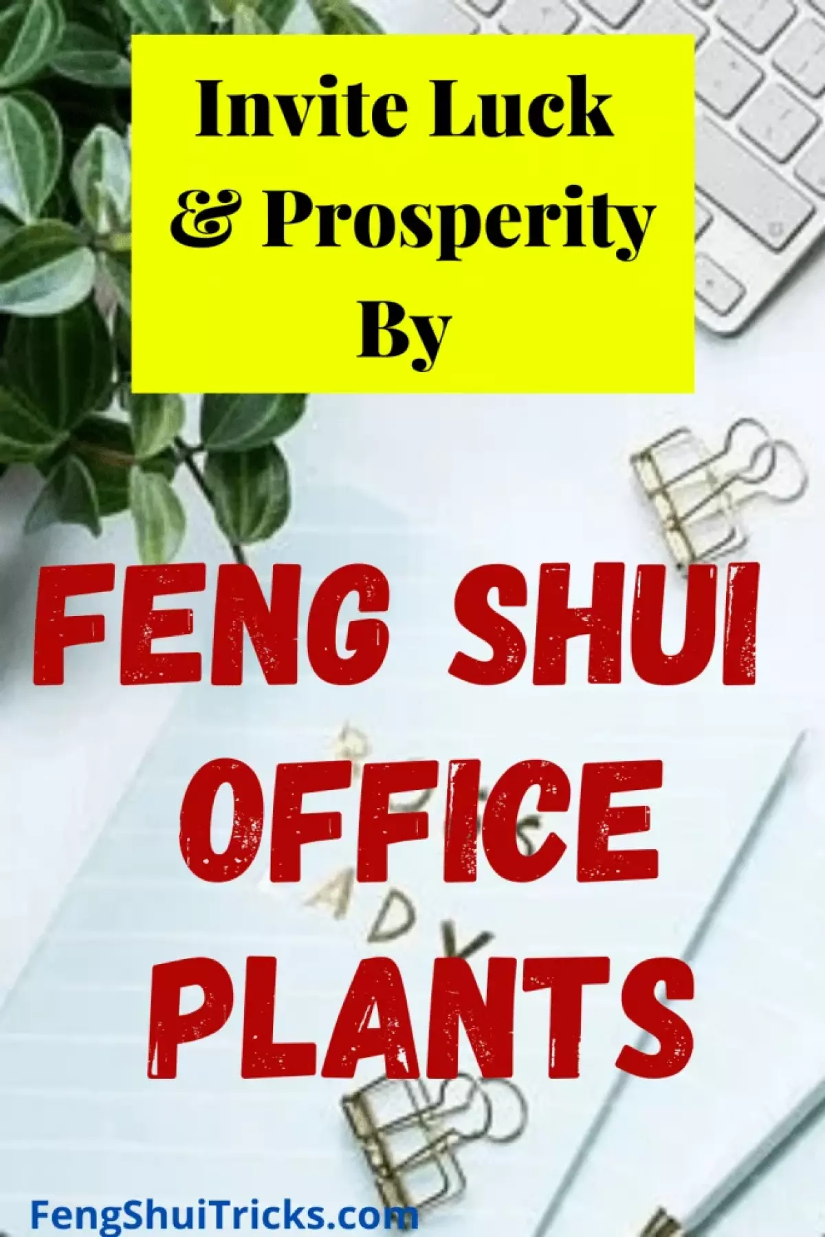 Lucky Feng Shui Office Plants