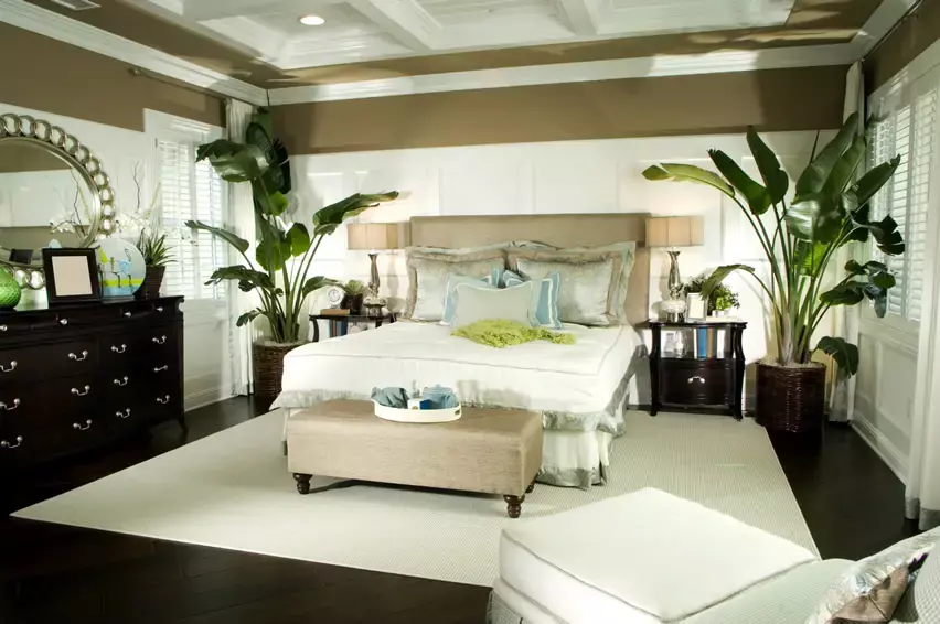 Bedroom with dark hardwood floors and blue accented decor