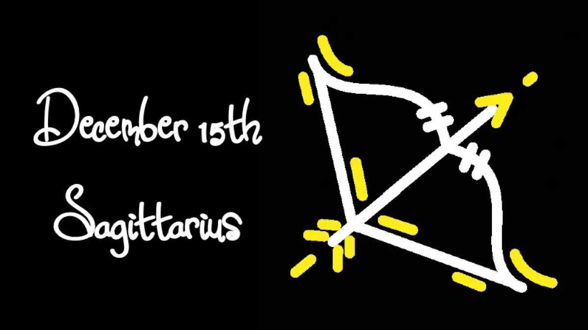 BORN DECEMBER 15TH? YOUR SIGN IS SAGITTARIUS