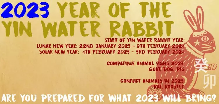 Are you prepared for 2023 year of the Rabbit