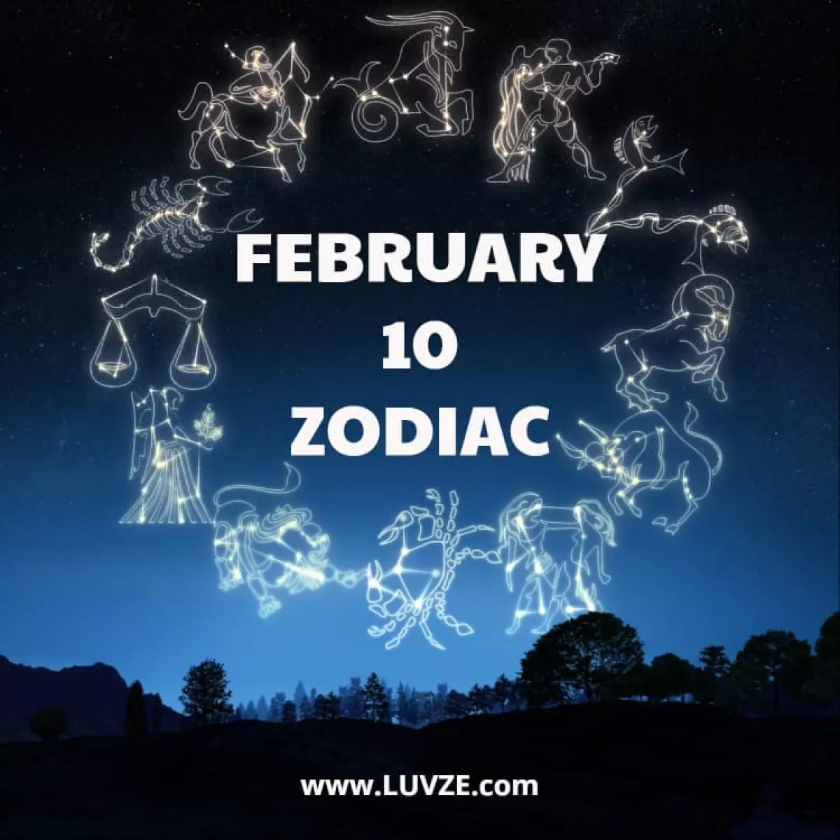 February 10 Zodiac Sign