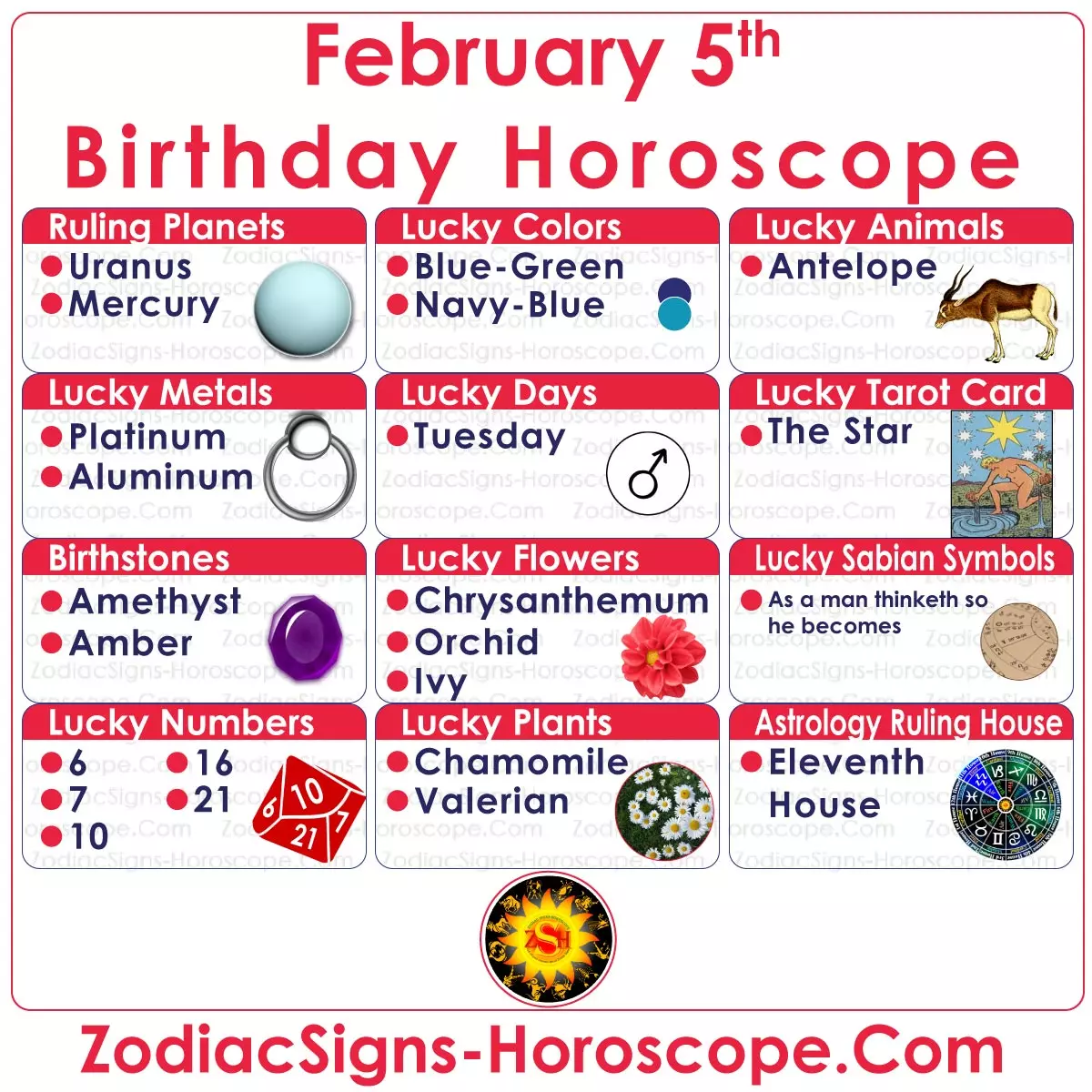 February 5 Zodiac