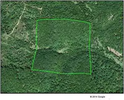 Topography map showing Arlene Doosis' 40-acre parcel