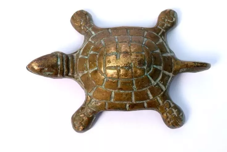 Feng Shui Turtle for Positive Energy