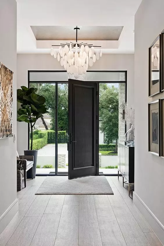 Luxury modern entryway