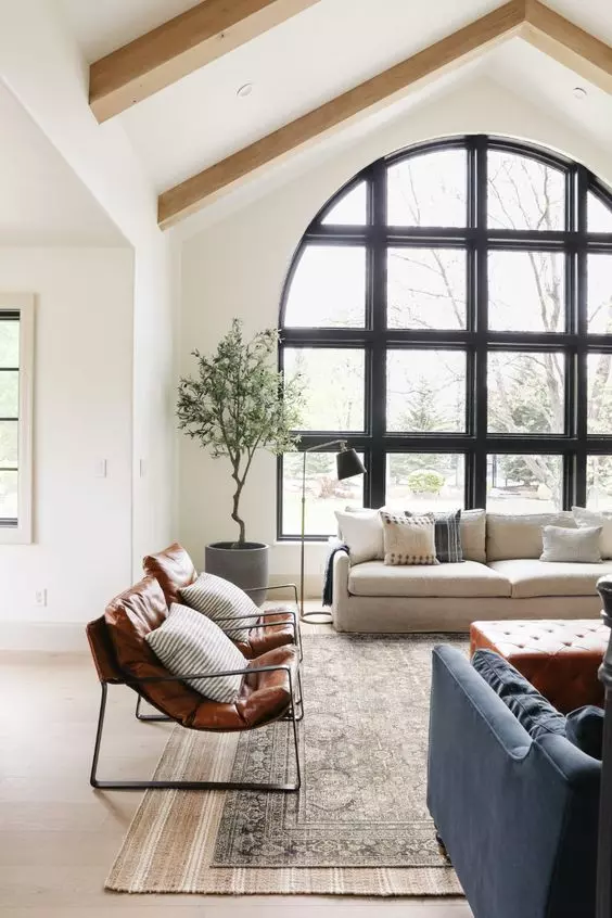 Olive tree in a large planter in the living room