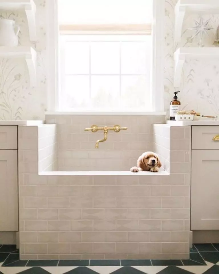 A sweet pup and dog bath in a beautiful laundry room and pet bathing area