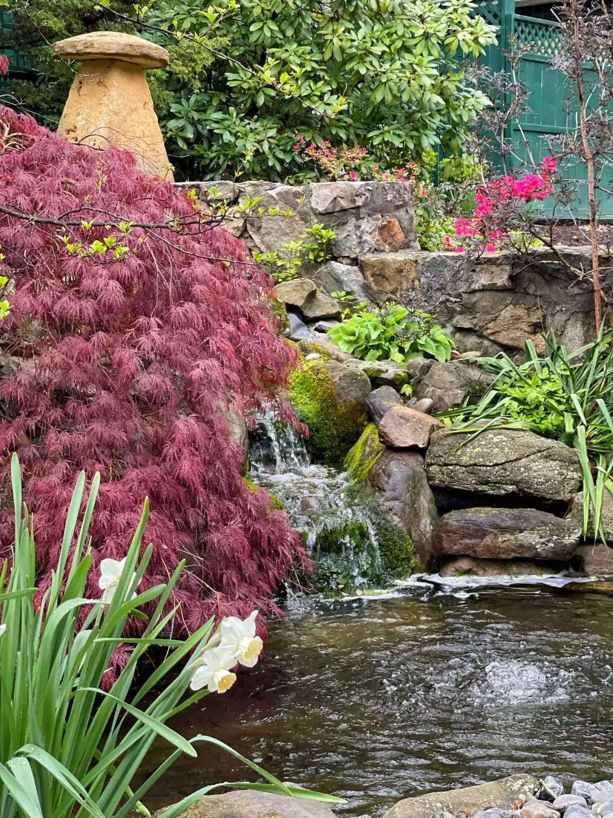 Zen garden koi pond with Japanese Maple and Garden Sculpture