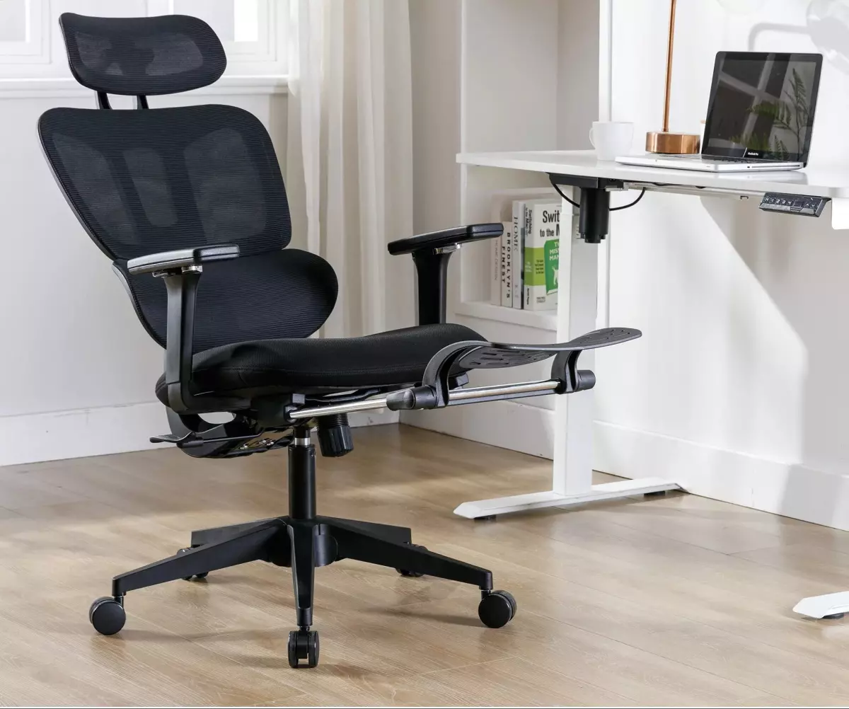 Hforesty Ergonomic Mesh Office Chair