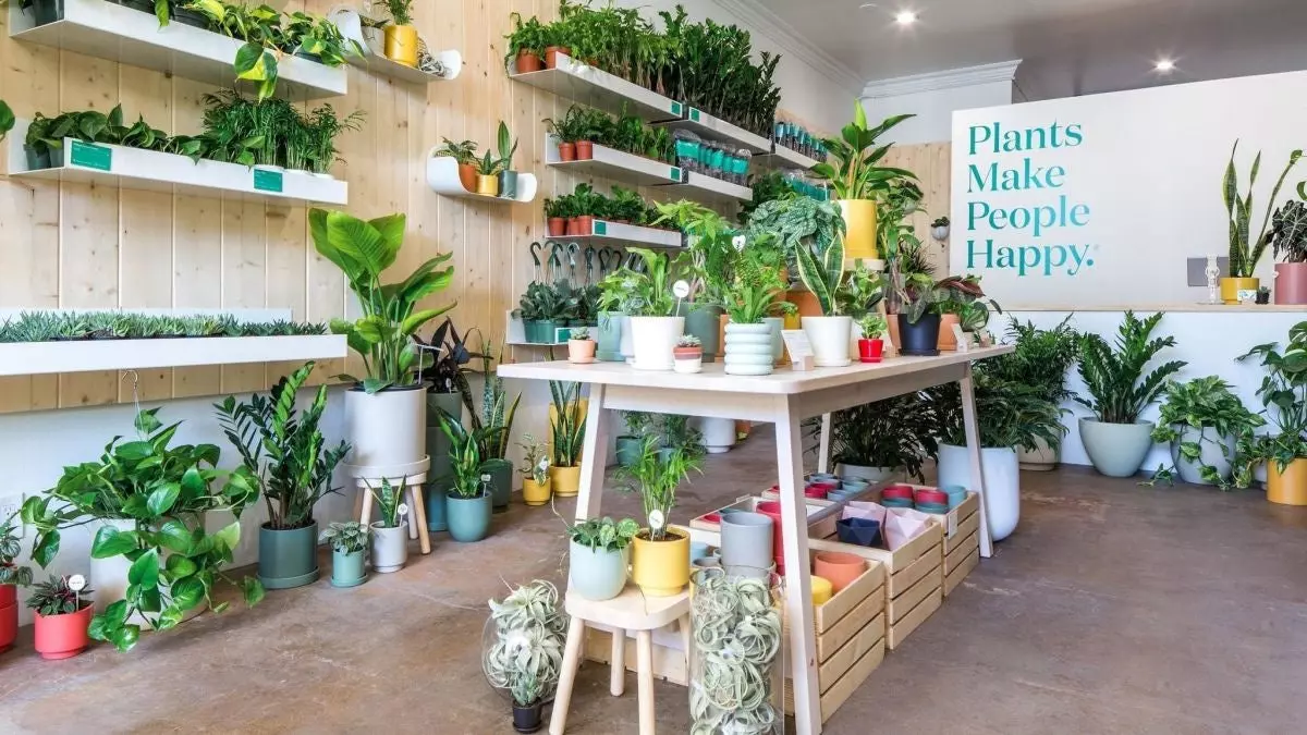 Plants in store