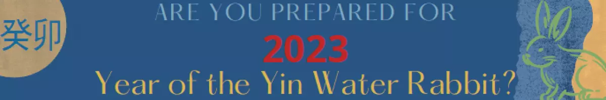 Are you prepared for 2023 year of the Rabbit