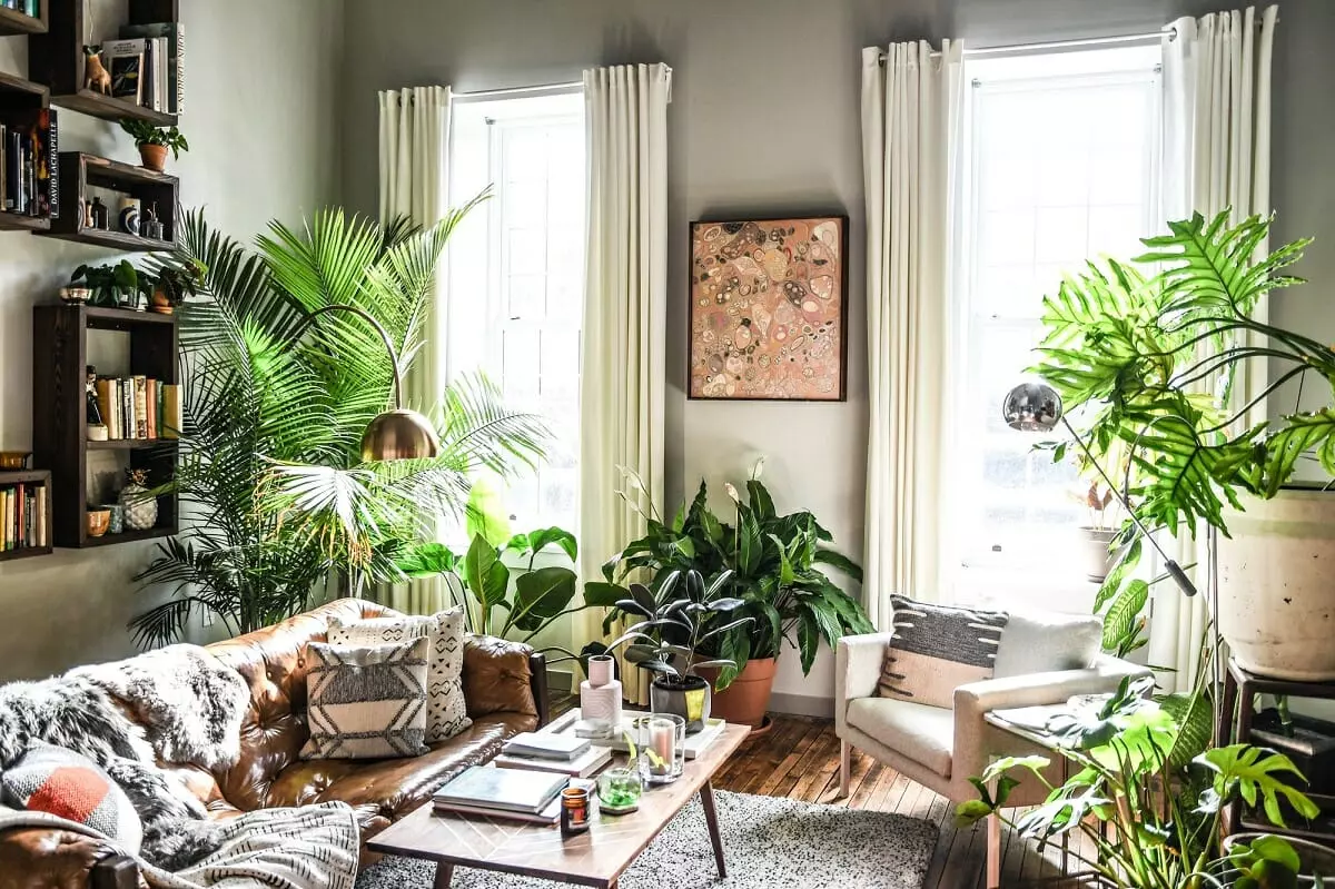 House plants interior design - Broadsheet