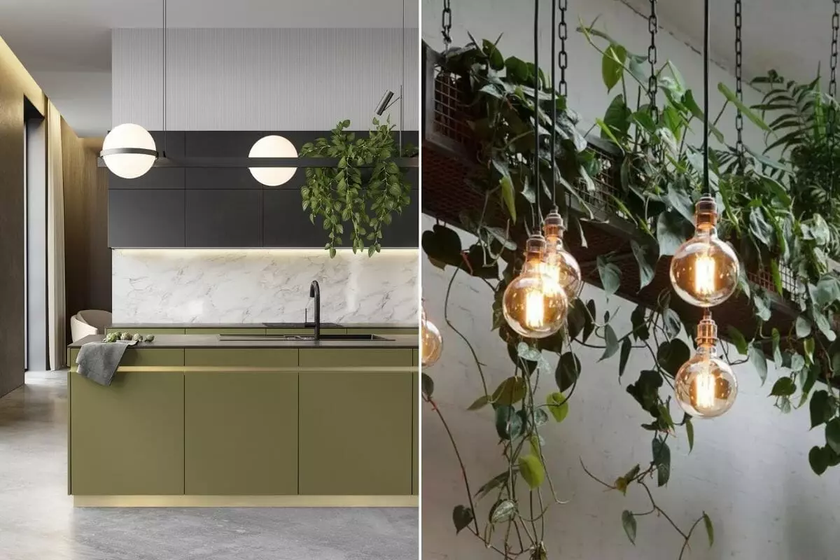 Feature lights and interior decorating with plants