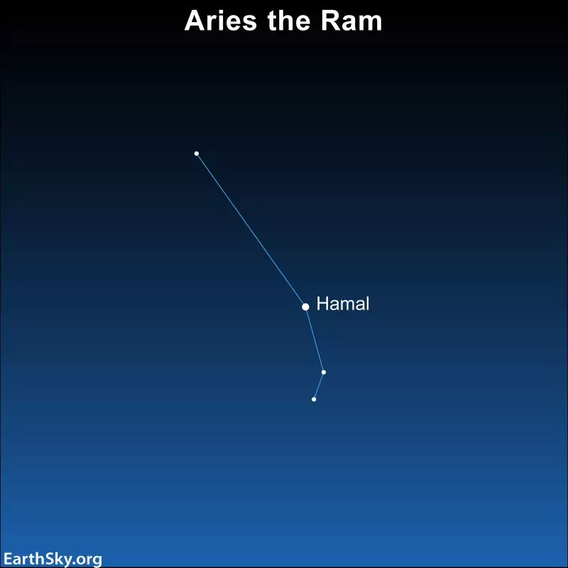 Celestial sphere with latitude and longitude lines and position of Aries.