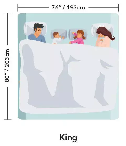 Twin XL Bed Size Mattress Dimensions