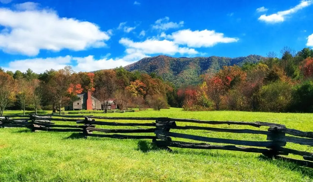 Rural Homestead