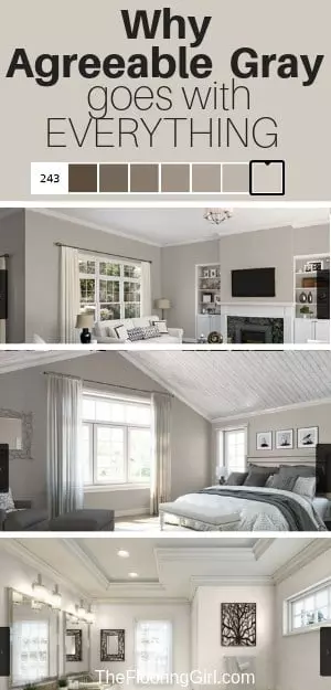 Agreeable Gray from Sherwin Williams - Neutral Greige Paint