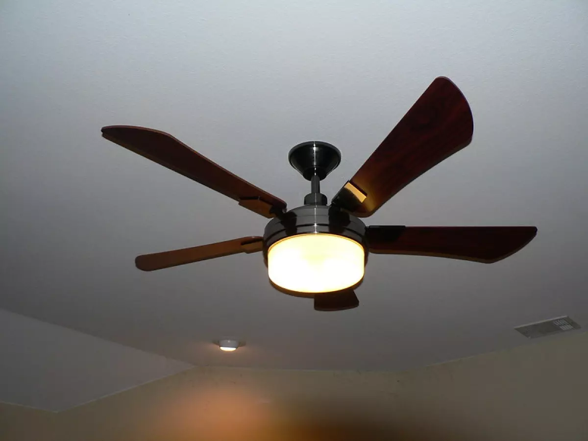 Smart Ceiling Fan