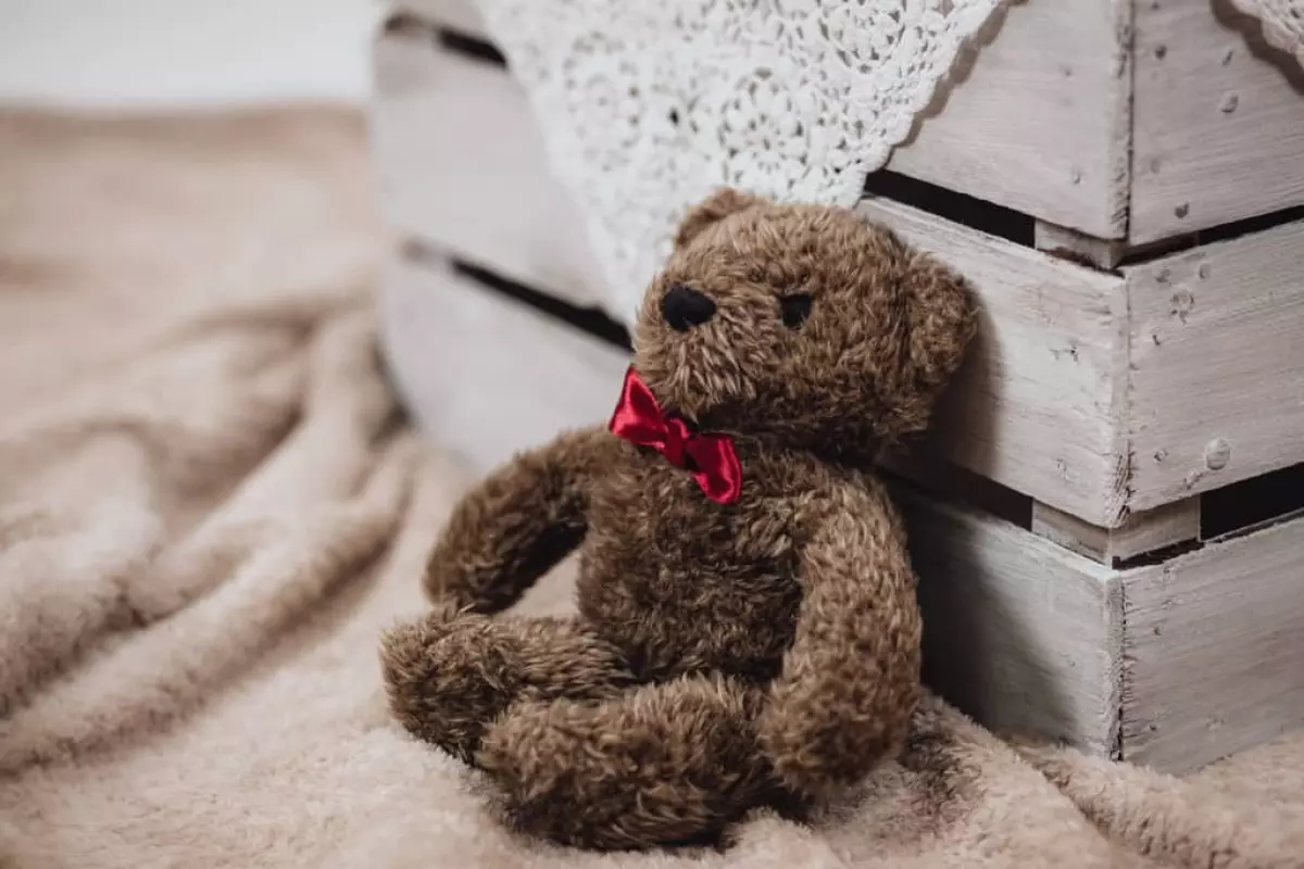 Teddy bear beside a pallet bed