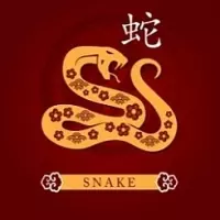 Feng Shui Horoscope 2023 for Snake