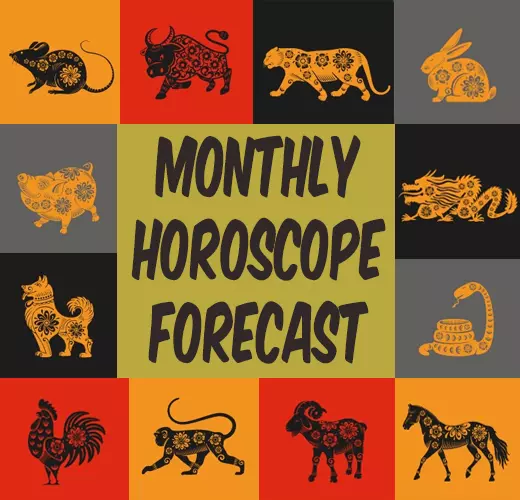 Feng Shui 2024 Horoscope Outlook for Rooster