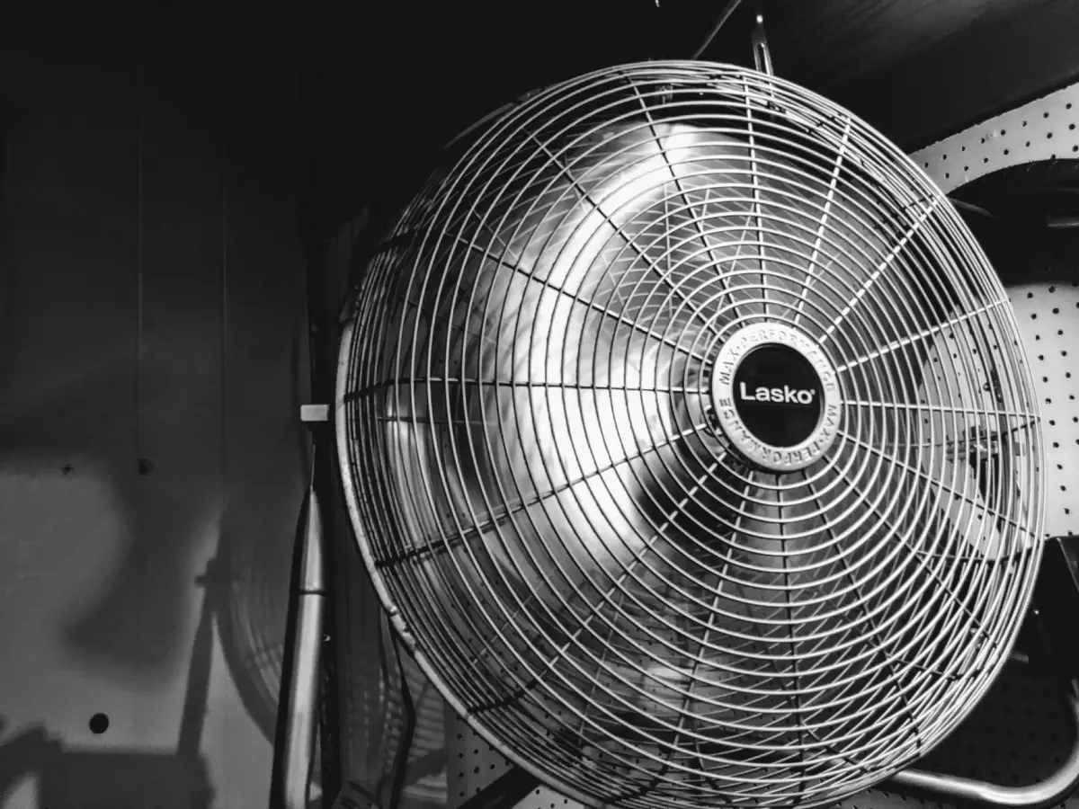 Close up product shot of fan.