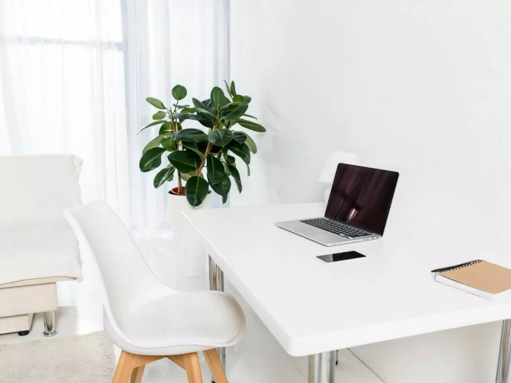 Optimize Your Home Office with Feng Shui