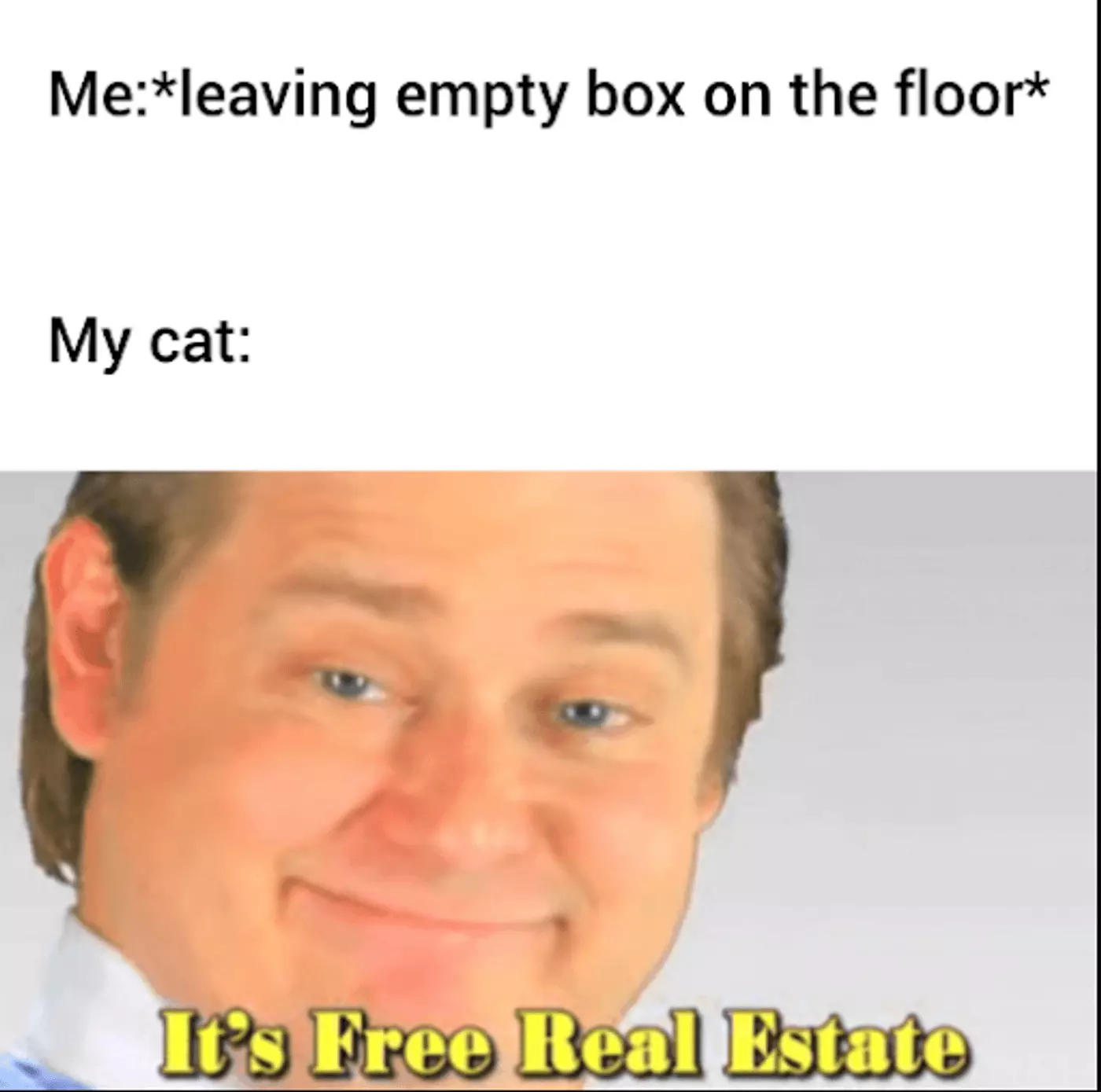 Free real estate meme refers to an empty corner in the room