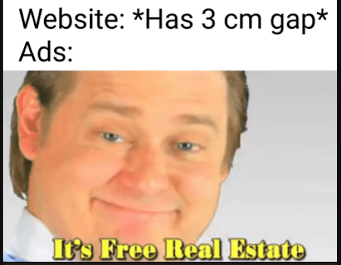 Meme referring to free space on a website as real estate