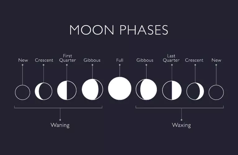 Moon Phases