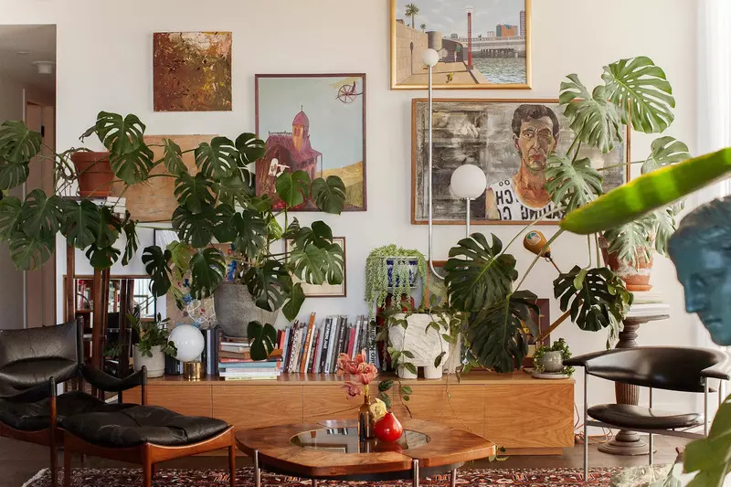 Decorate your boho home with indoor plants