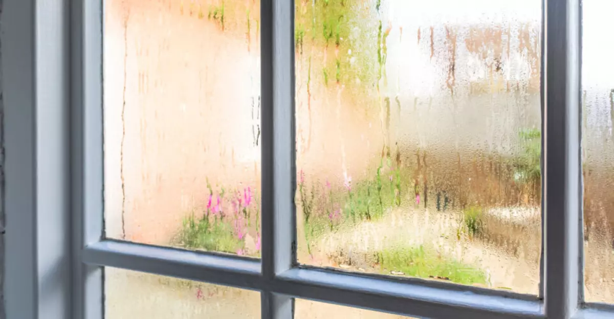 Condensation on an old window of a home. Looking out into the garden.