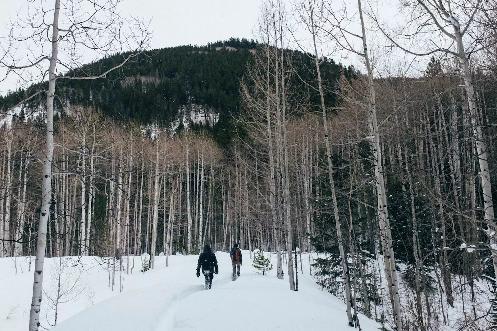 Hiking at Smuggler Mountain Trail, Aspen, CO