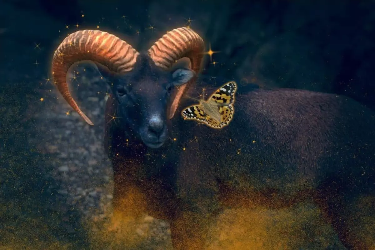 Capricorn Zodiac Sign