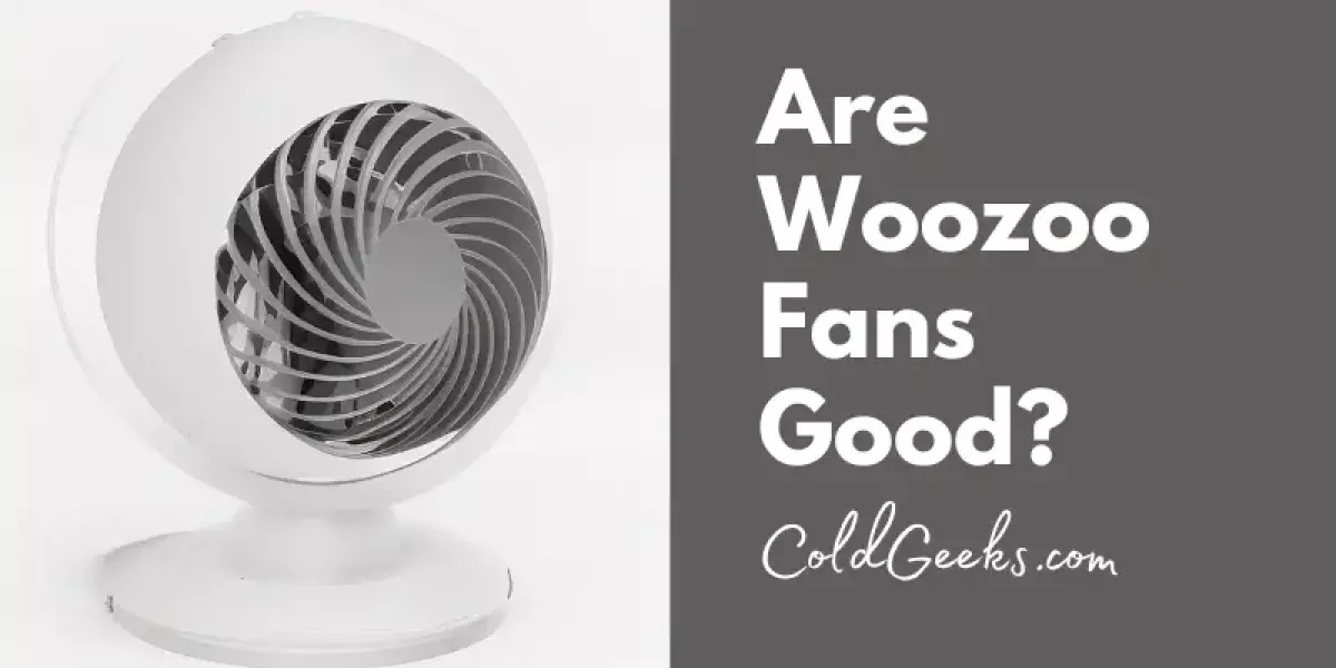Woozoo Fan - Is the Woozoo Fan Good?