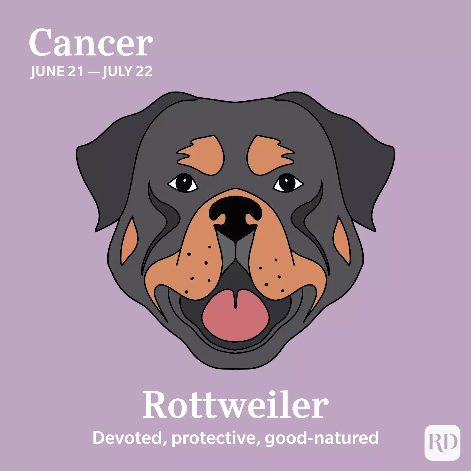Cancer: Rottweiler