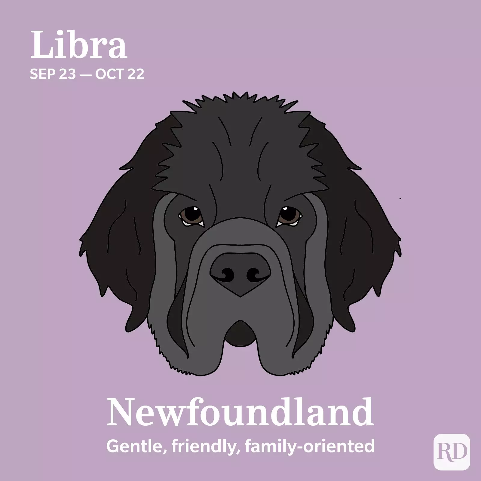 Libra: Newfoundland