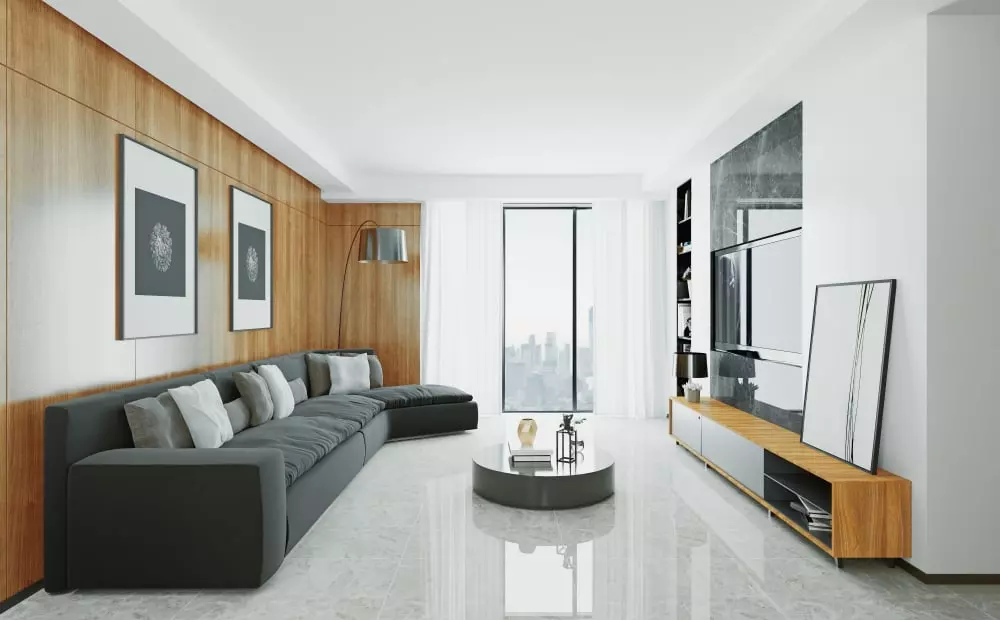 Modern Minimalist Living Room 3