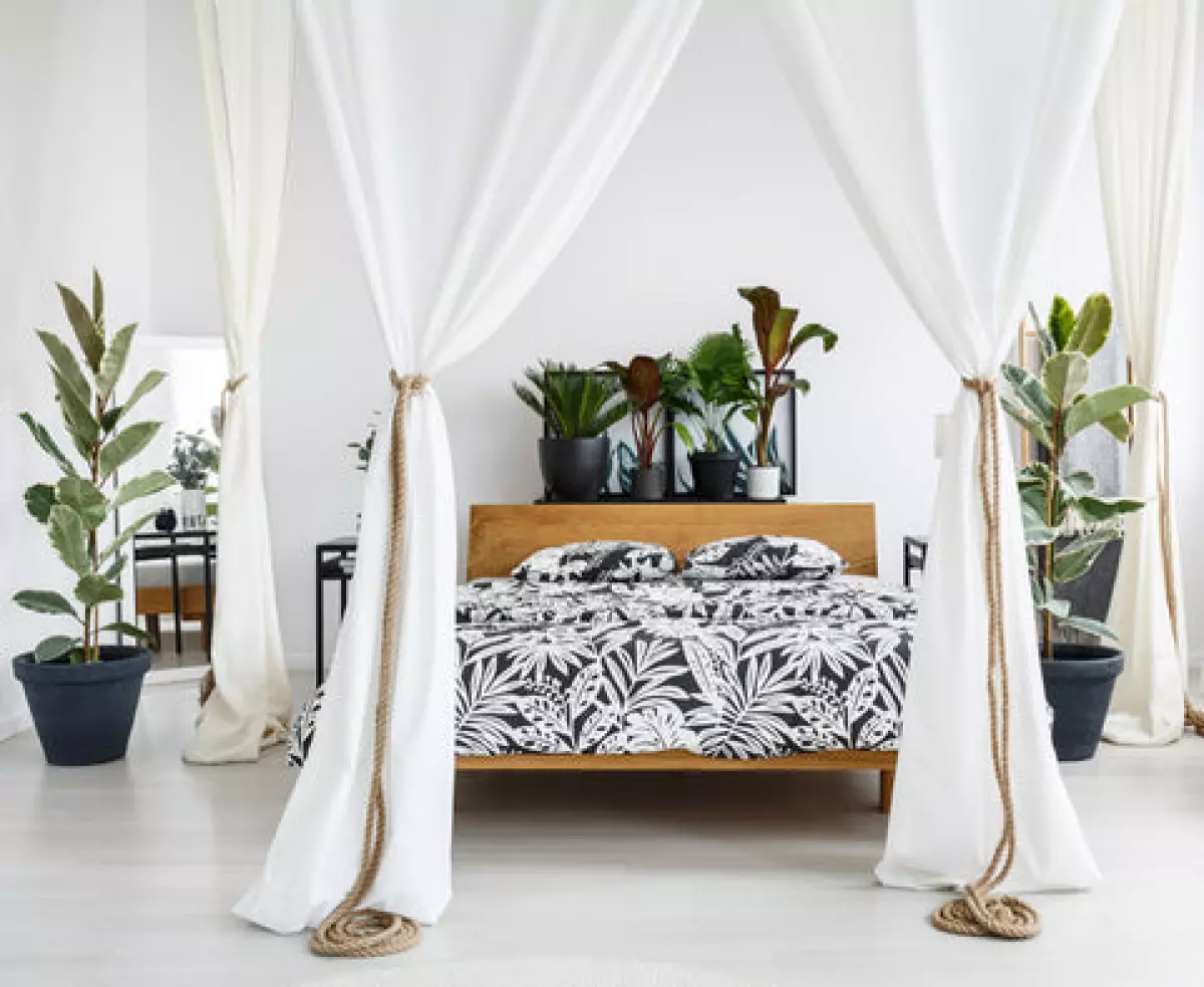Feng Shui styled bedroom with white walls and floors and black and white bedroom linen with a variety of plants